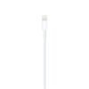 Apple Lightning to USB Cable (1m)