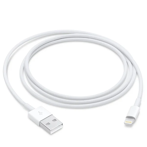 Apple Lightning to USB Cable (1m)